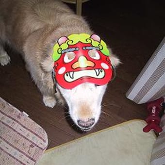 ひな祭りと一ヶ月遅れた節分