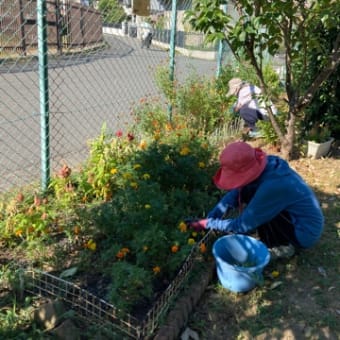 8/8永山園公園作業しました！