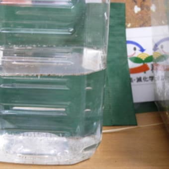 東西料理対決