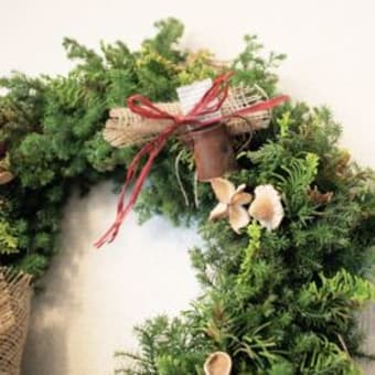 merryXmas! and Happy new year!