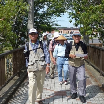 旧水戸街道を歩く　最終回　我孫子宿から馴柴へ