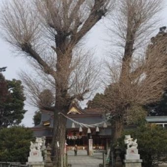 見どころが豊富な神社『亀ヶ池八幡宮』