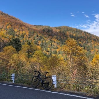 【乗鞍岳をロードバイクと足で登ってきました!!!】