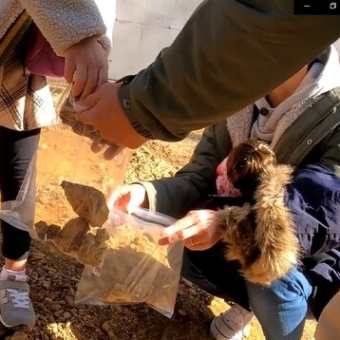 化石探し体験　佐川地質館