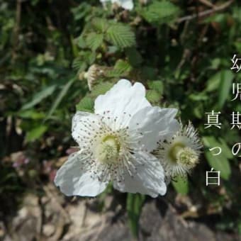 ちんから峠　