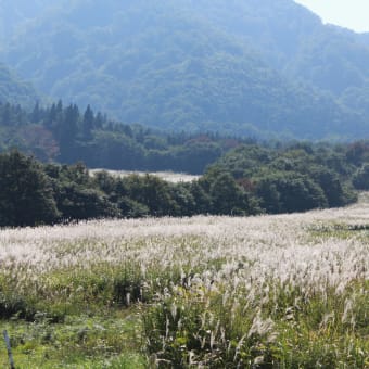 秋の気配漂う栗駒山を登って来ましたヽ(^o^)丿