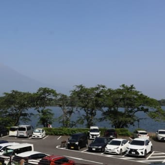 長者ヶ岳～天子ヶ岳でツツジ三昧⁈
