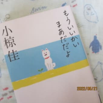 もういいかい、まあだだよ　小椋佳著（双葉社）