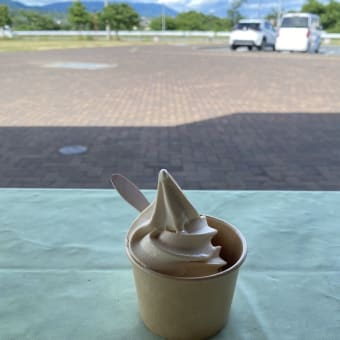 町石道が川になって泣きながら歩く