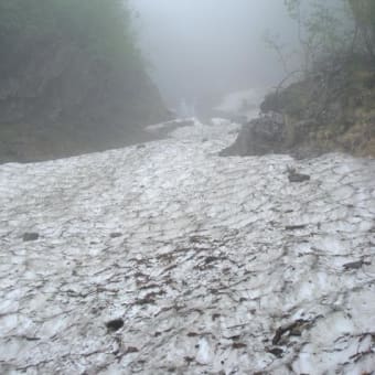 日本百名山仙丈ヶ岳山行報告（その３）