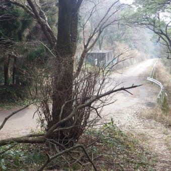 鬼の鼻山と「池田学展」