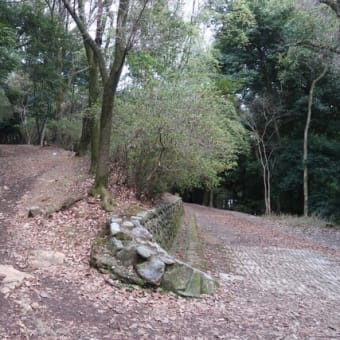 大吉山展望台