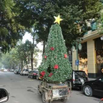 クリスマス飾り