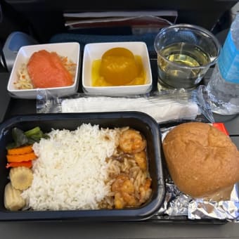 シンガポール3日め② チャンギ空港のラウンジ～シンガポール航空で帰国