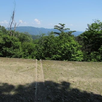 蹴上から京都トレイルを大文字山へ歩きました　その3　2024年6月13日