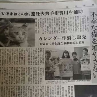 毎日新聞にも「101さくらねこのキャンペーン」が紹介されました。