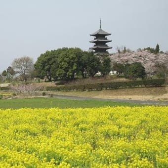 ＊　桜の咲く 備中国分寺五重塔へ　＊