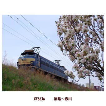 2013年４月・城東貨物線