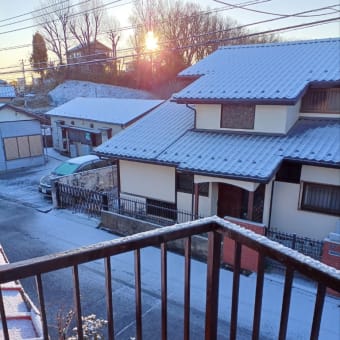 初雪溶けて　シルバーパスで外出