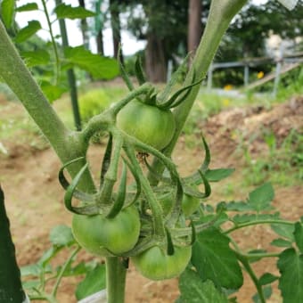 水量調整しました