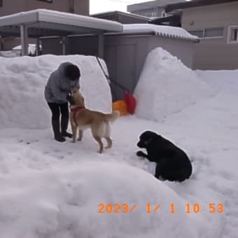 明けましておめでとうございます！