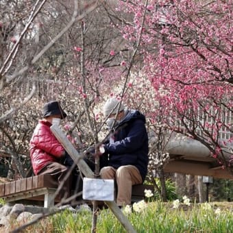 神戸市　須磨離宮公園　梅林ほか