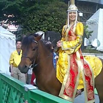 ネコと馬