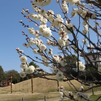 連休に快晴の青空
