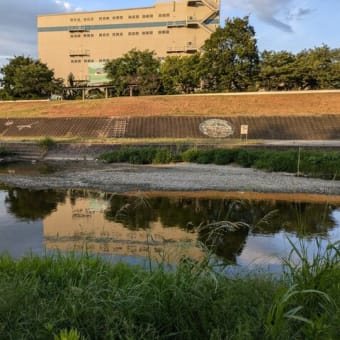 夕日に囲まれて