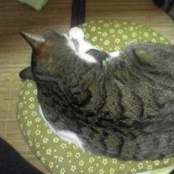 春、手術をする