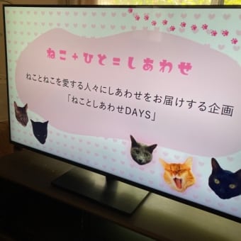 「ねことしあわせDAYS」２０２４はじまりました。