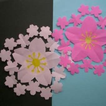 切り紙 桜 私の展示室