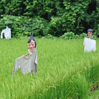 『気の早い案山子』
