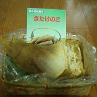 ４月２０日・京たけのこ