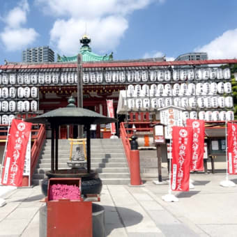盆栽の技術で大きな木でもヤレる！