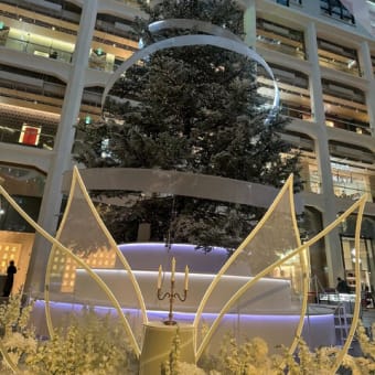 2024年メリークリスマス