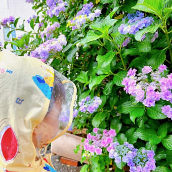 6月のあれこれ