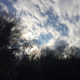 3月のオープンクラス他のお知らせ