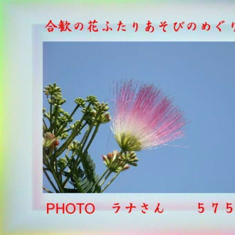 フォトあそび心５７５『　合歓の花ふたりあそびのめぐり逢い　』ｘｘｒ１００２