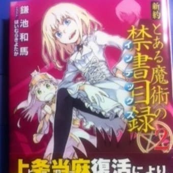 新約 とある魔術の禁書目録2巻の感想レビュー ライトノベル Gurimoeの内輪ネタ日記 準備中