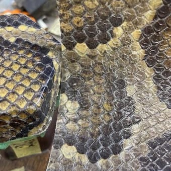 光舜松脂 三種類の違い。自然農法と水耕栽培 - 二胡工房 光舜堂