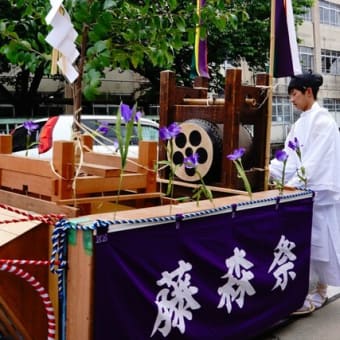 伏見 藤森神社の「駆け馬神事」に行きました。（2023年5月5日）