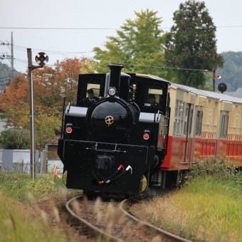 小湊鉄道里山トロッコ　公開試運転の写真