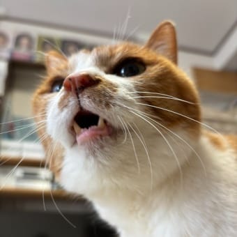 今日の水滴