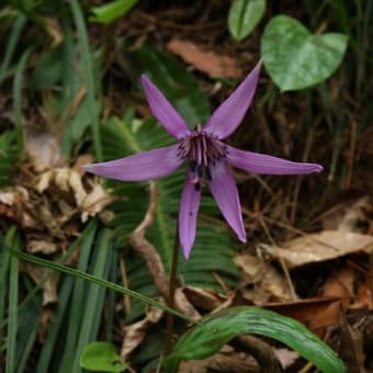 ぶらり　万寿山　その３