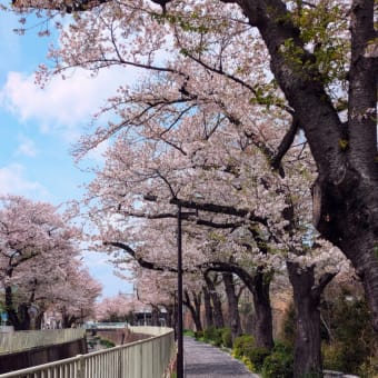 今日いち-2025年4月12日