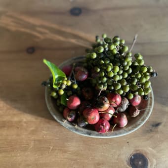 山のめぐみ〜木の実編