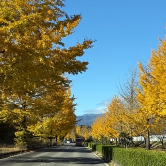 24/11/19 那須はうっすらと雪