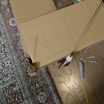 自作のおもちゃ