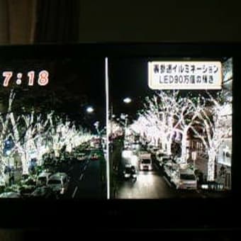 師走～あと１か月ガンばりましょ♪採血結果は・・・